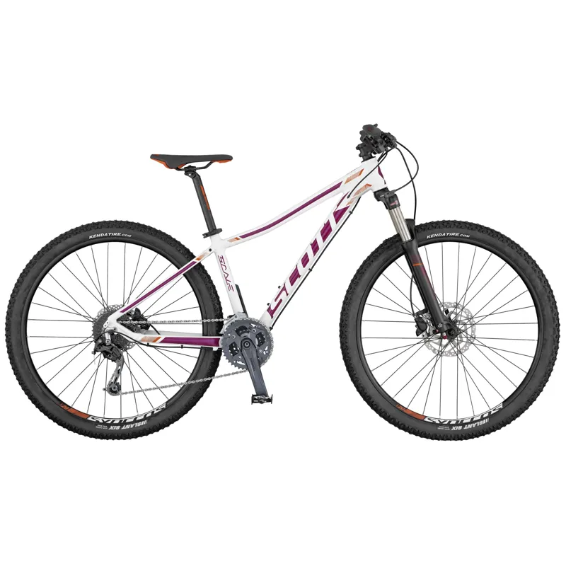 contessa scale 40