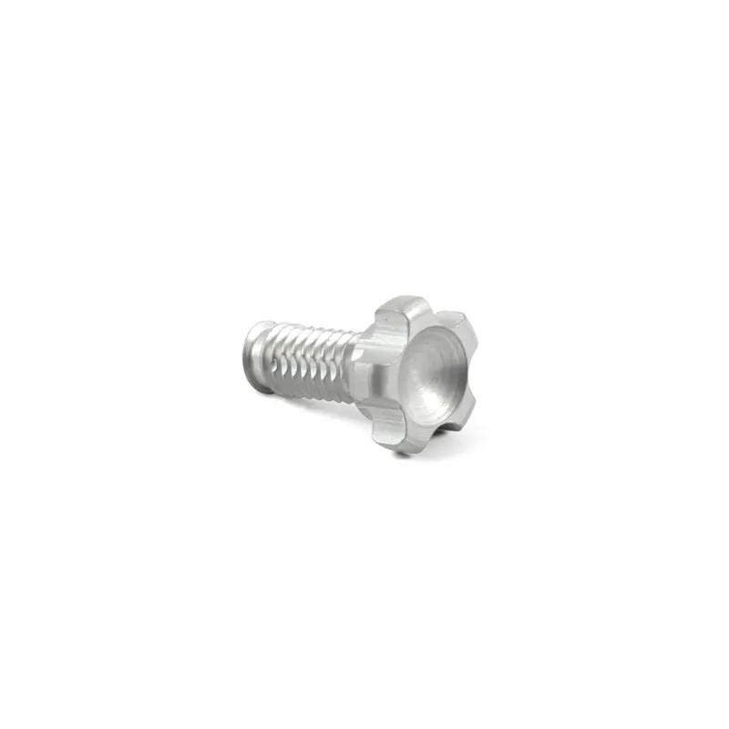 Hope Tech Master Cylinder BPC and Reach Adjuster Screw Silver