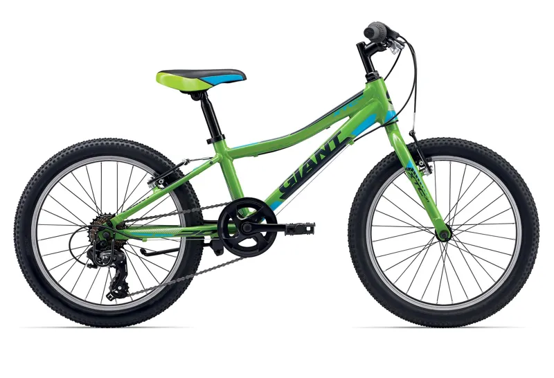 blue giant bike
