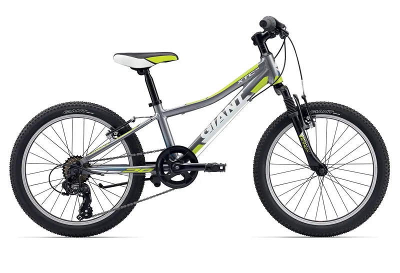 20 inch giant mountain bike