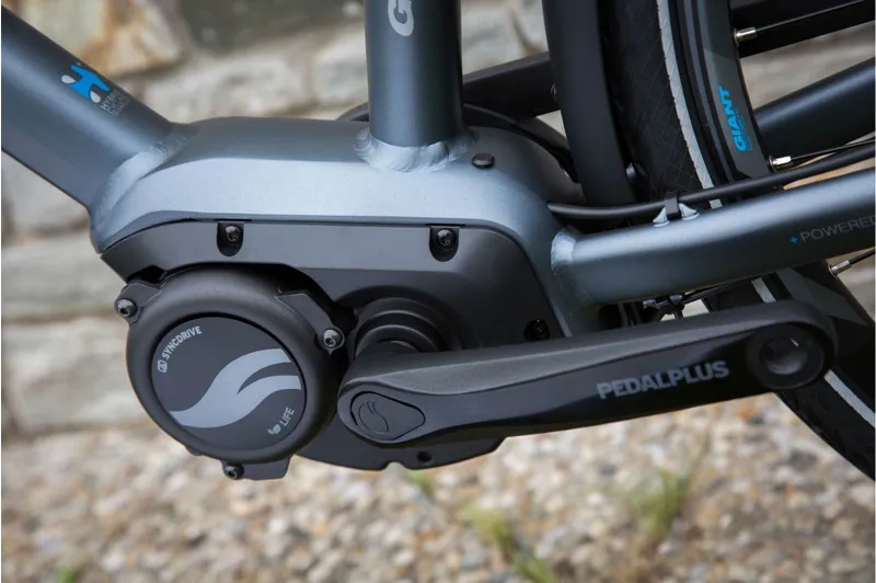 giant entour e bike