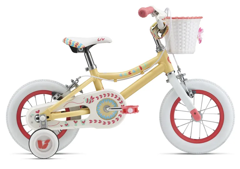 childs bicycle