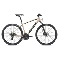 roam 4 disc 2023