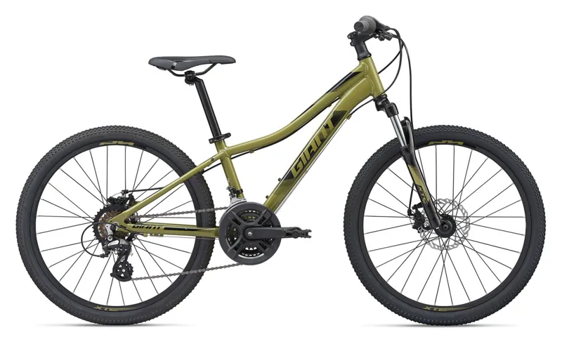 giant kids bicycle