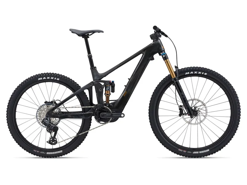 Liv carbon shop