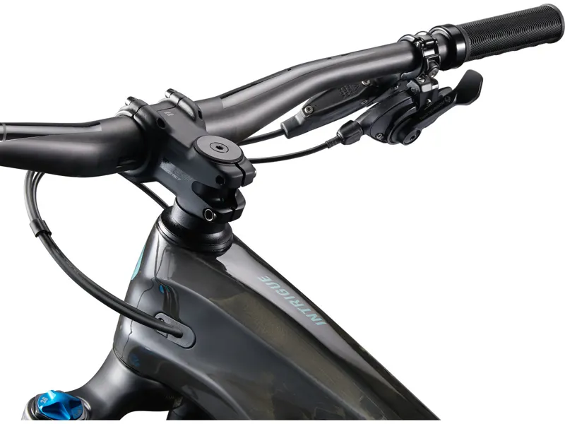 Liv Intrigue LT Advanced Pro 1 Mountain Bike Raw Carbon-8