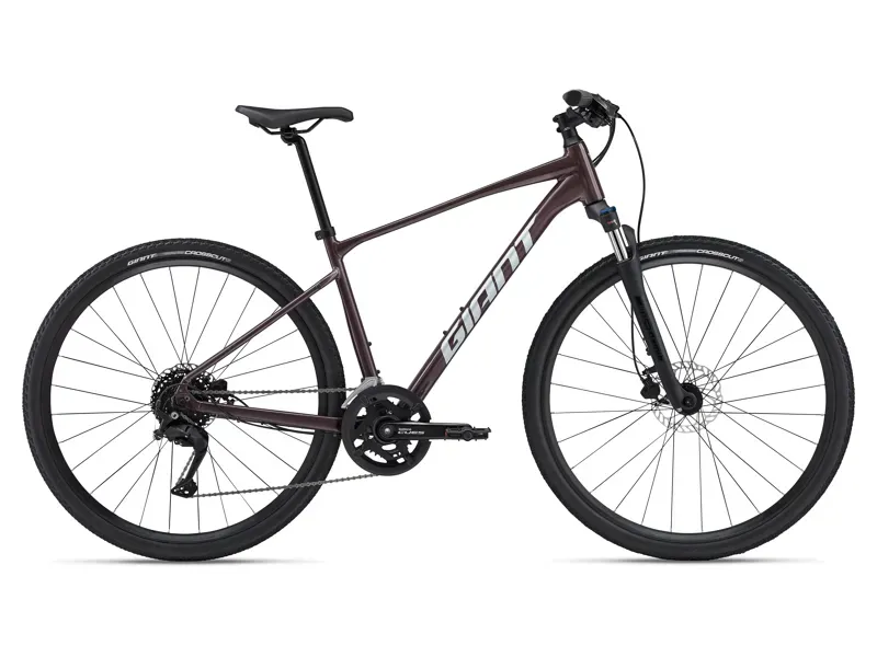 Giant Roam 2 Disc Hybrid Bike Charcoal Plum