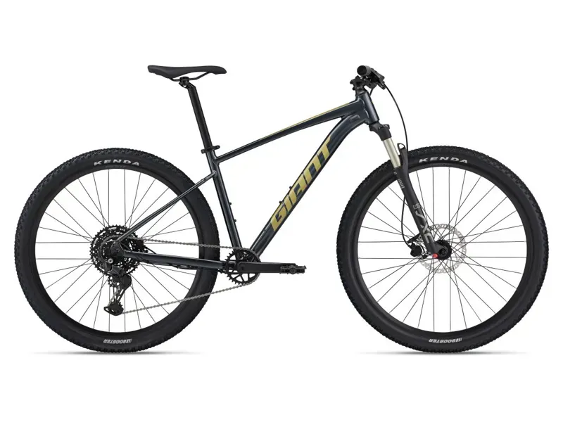 Giant Talon 1 29er Mountain Bike Gloss Cold Iron / Bay Leaf