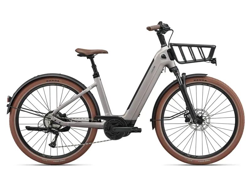 Liv Flourish E+ 3 eBike in Golden Shimmer