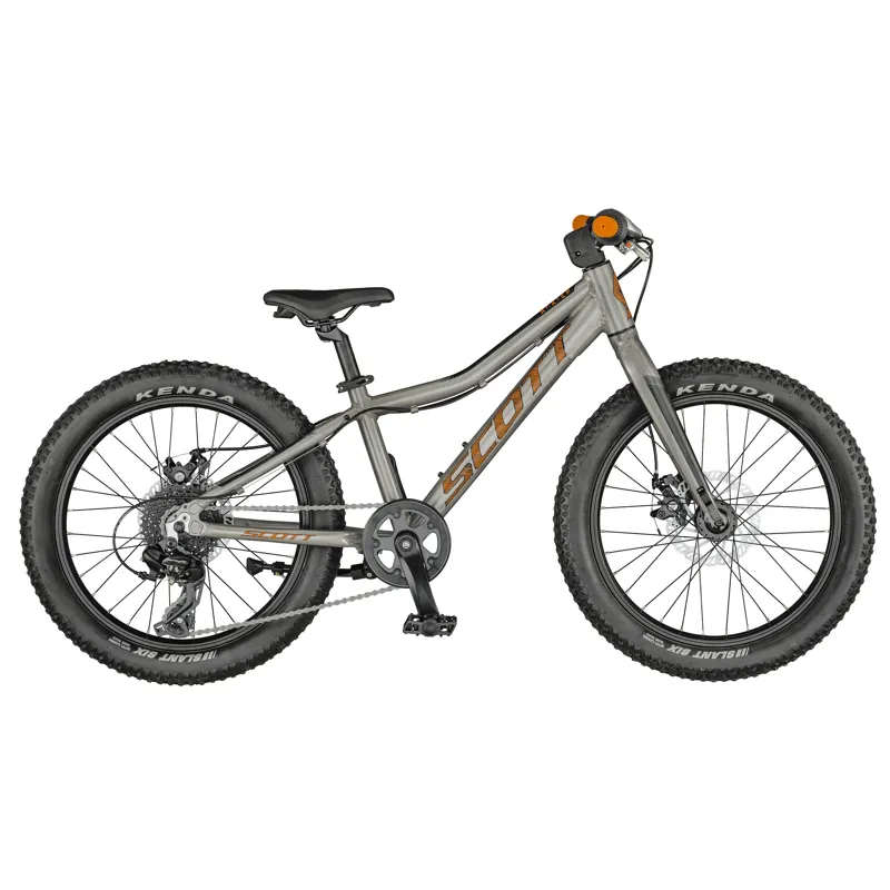 Scott Roxter 20 Kids Bike Raw Silver