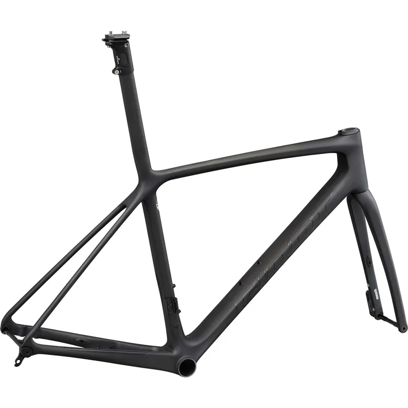 Giant TCR Advanced SL Disc Frameset Raw Carbon