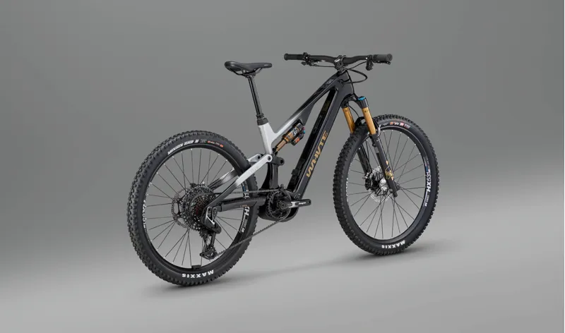 Whyte ELyte Evo Stag Works Electric Mountain Bike Stealth Black-2