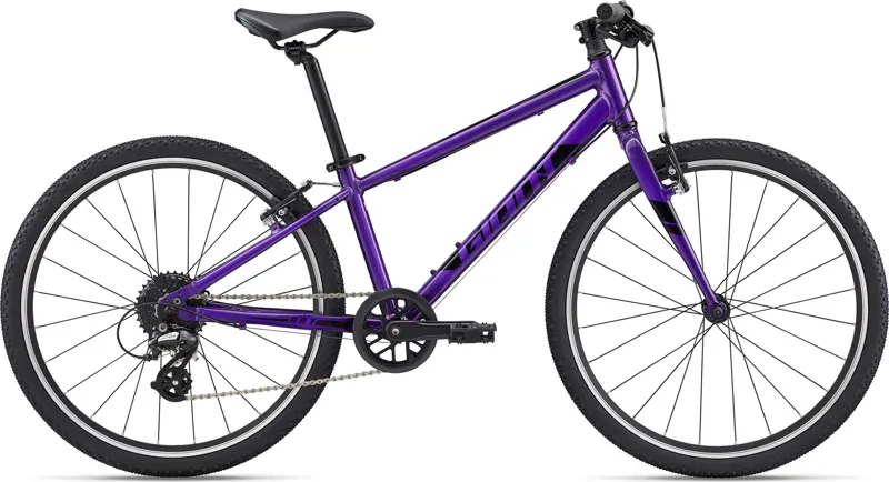 Giant ARX 24 Kid's Bike Purple