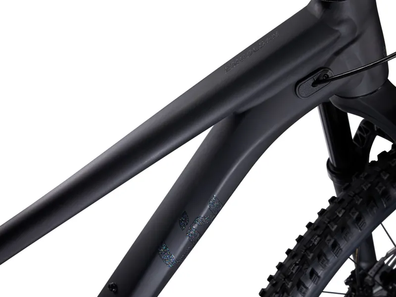 Liv Embolden 1 29in Mountain Bike Black-2
