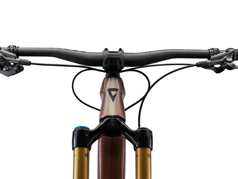 Giant Reign Advanced Pro 0 Carbon Mountain Bike Messier / Carbon-5