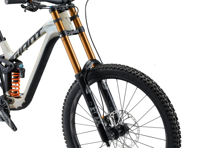 Giant Glory Advanced Carbon DH Mountain Bike Shoreline / Carbon-6