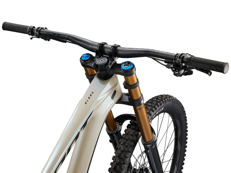 Giant Glory Advanced Carbon DH Mountain Bike Shoreline / Carbon-8