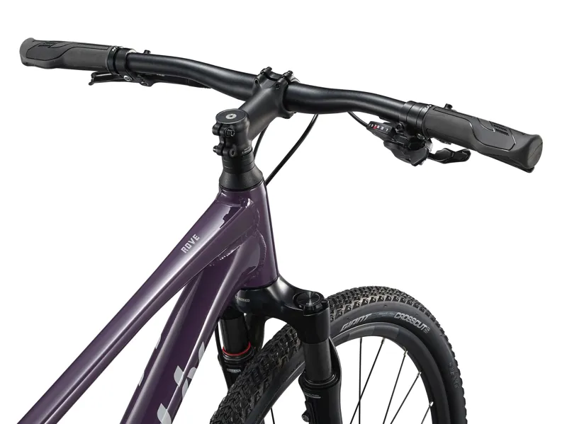 Liv Rove 1 Hybrid Bike in Tyrian Purple-3