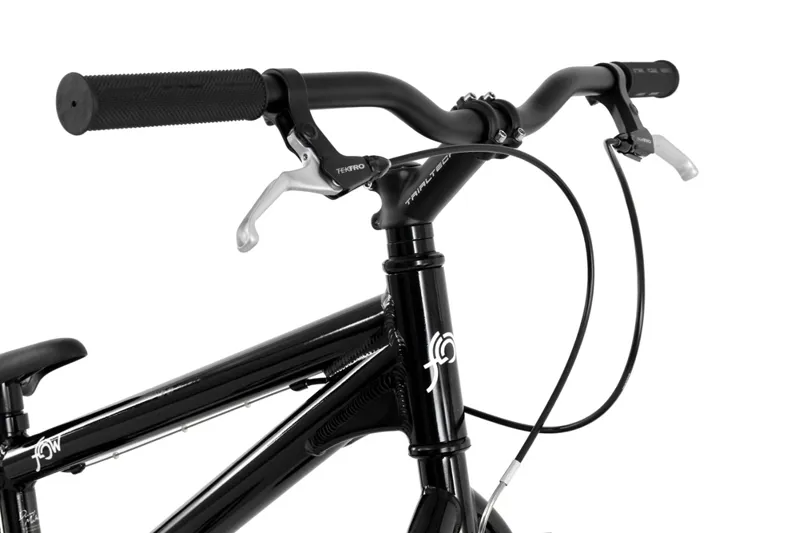 Inspired Flow 20 inch Trials Bike Black-8