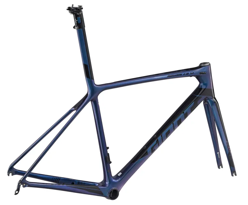 Giant clearance tcr 2019