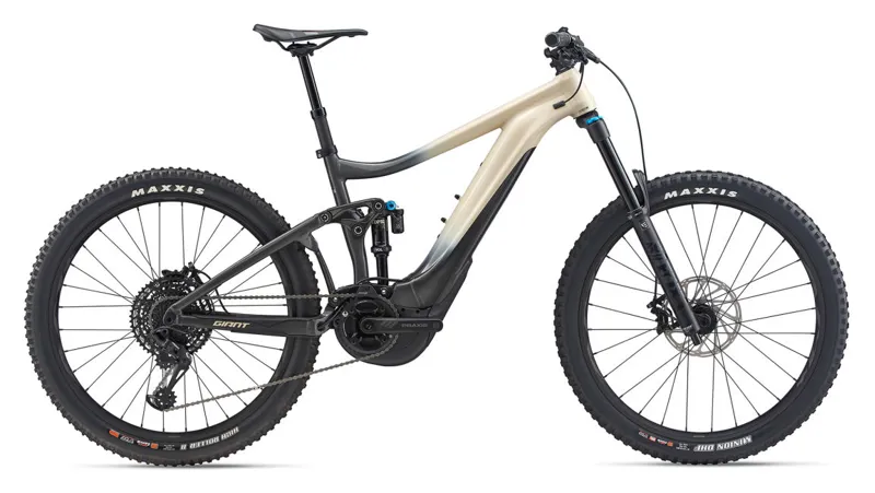 Giant Reign E+ 2 Pro 2020 E-Mountain Bike Grey