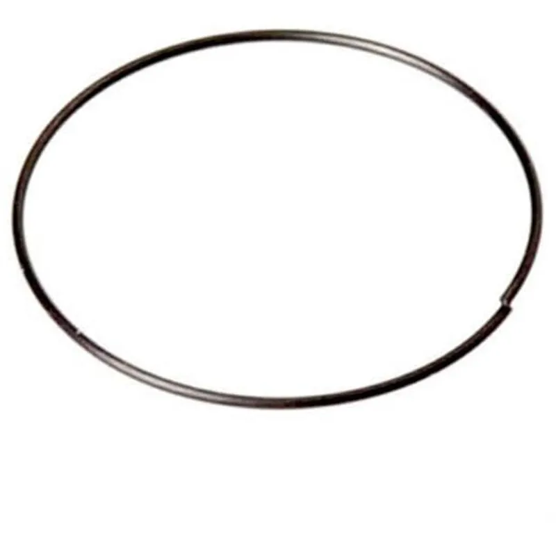 DT Swiss 3-Pawl Freehub 21.4 Mm Retainer Spring Black