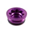 Hope V4 Small or E4 Brake Caliper Bore Cap Purple