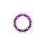  Hope R22 104BCD 32T Chainring in Purple