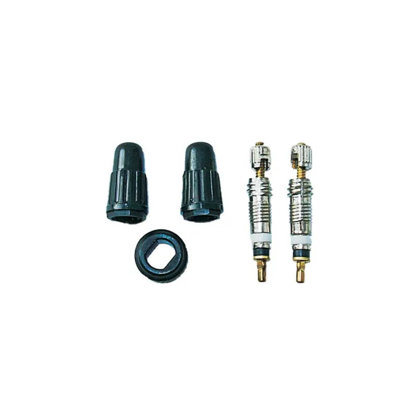 Weldtite Valve Core - Caps and Core Remover Kit for Presta Valves